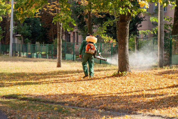 Best Pest Control Treatment  in Seyur, MO